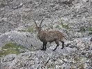 Dachstein 24.-27.08.2006-thb53.jpg